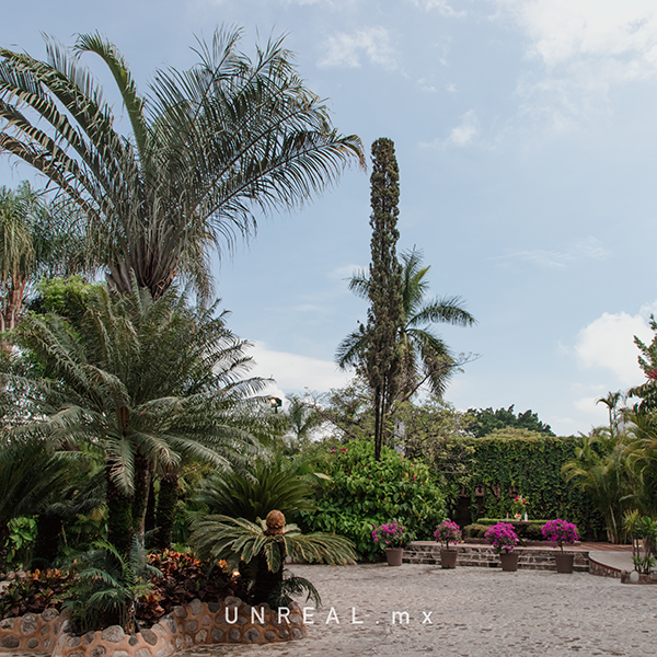 Jardín Punta Luna Morelos