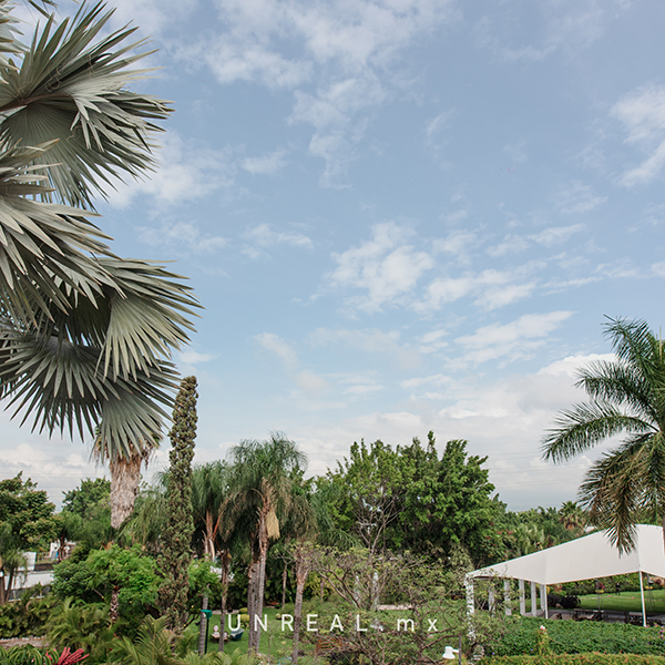 Jardín Punta Luna Morelos