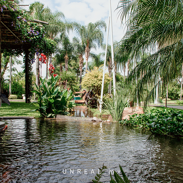 Jardín Punta Luna Morelos
