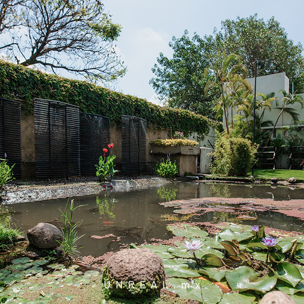 Jardín Punta Luna Morelos