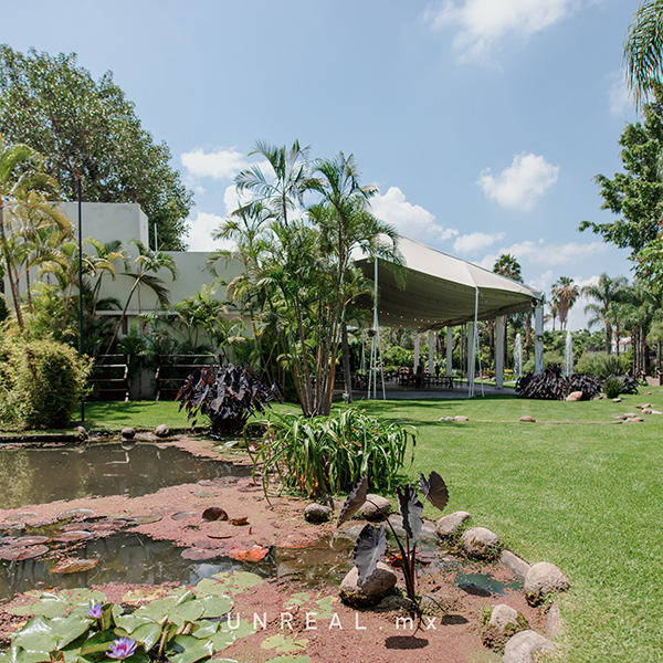 Jardín Punta Luna Morelos
