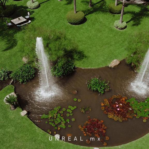 Jardín Punta Luna Morelos