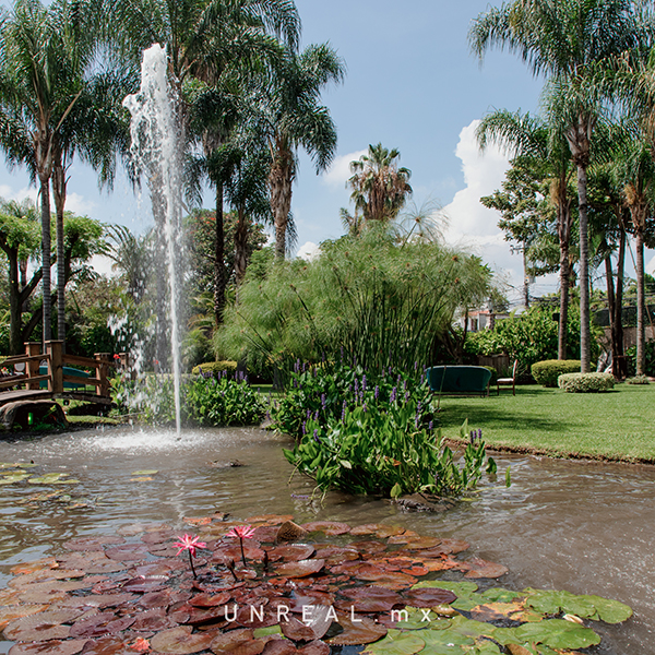 Jardín Punta Luna Morelos