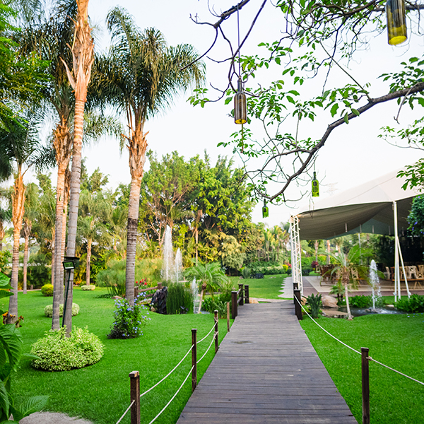 Jardín Punta Luna Morelos