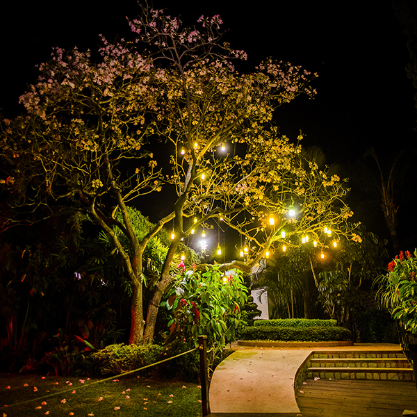 Jardín Punta Luna Morelos