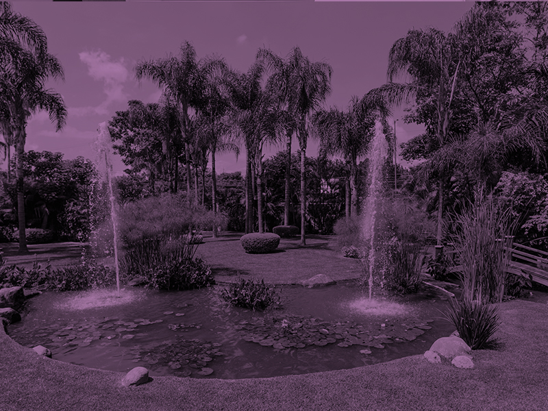 Jardín Punta Luna Morelos / El JARDÍN